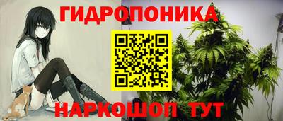 ешки Славгород