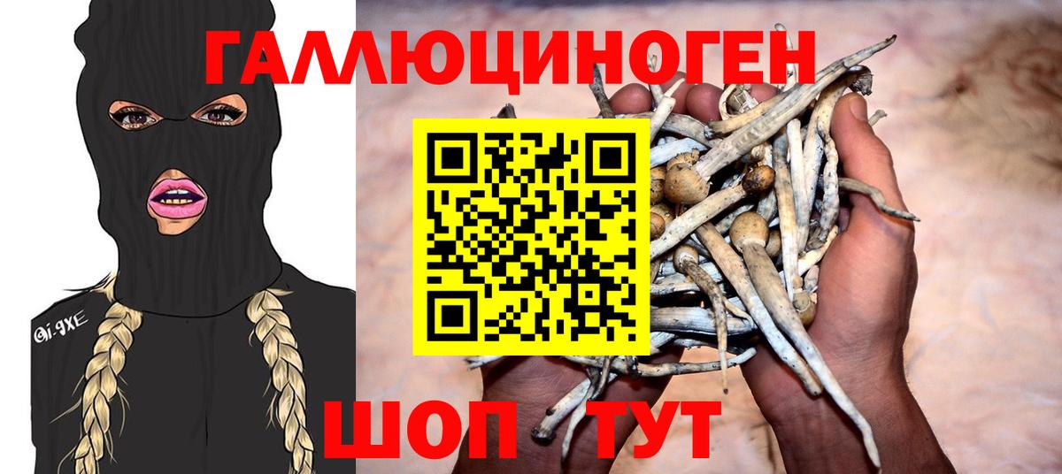 Галлюциногенные грибы прущие грибы  Вход с VPN  Обь 